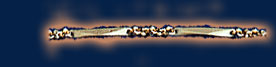 Diamond Face Chain