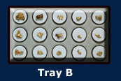Crystal Nuggets Tray B